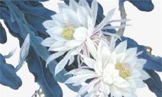 2023年2月13日开工动工好不好 此日日子解析