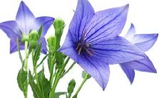 2023年2月11日开工日子好么 是动工良机吗