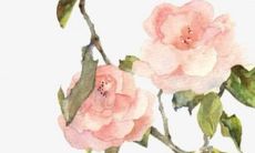 2023年2月21日开工好吗 此日动工如何