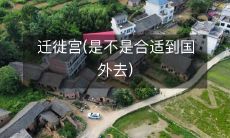 迁徙宫(是不是合适到国外去)