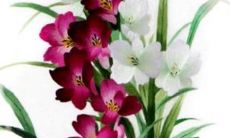 2023年2月19日雨水开工吉利吗 复工动工好不好