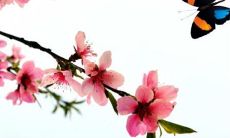 2023年2月17日适合开工复工吗 日子好不好