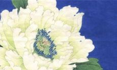 2023年2月27日开工日子如何 装修开工选日子