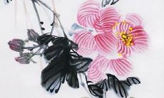 2023年2月23日开工日子好么 是动工良机吗