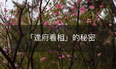 「逢府看相」的秘密