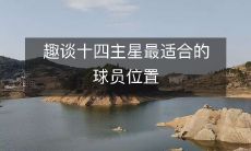 趣谈十四主星最适合的球员位置