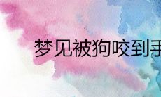 梦见被狗咬到手出血