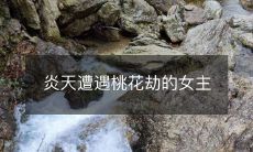 炎天遭遇桃花劫的女主