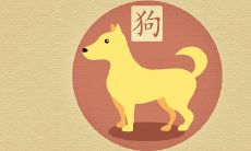 梦见狗咬我是什么预兆