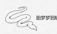 胎梦梦到蟒蛇越大越好吗 预示着什么