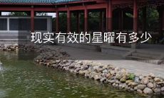 现实有效的星曜有多少