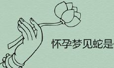 怀孕梦见蛇是什么意思