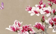 2022虎年公历10月生肖蛇商铺开张开业吉利日子 最佳吉日一览表