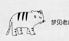 梦见老虎吃人自己躲藏是什么预兆