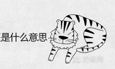 女人梦虎三年旺是什么意思 有什么预兆