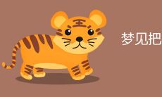 梦见把老虎杀了有血预示什么