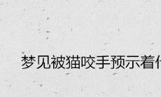 梦见被猫咬手预示着什么