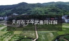 天府在子午武曲同详解