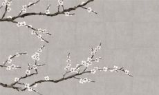 2022年11月24日商铺开张好吗 好日子查询