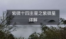 紫微十四主星之紫微星详解