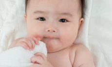 兔宝宝乳名男宝 2023年出生的男孩小名