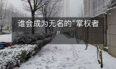 谁会成为无名的“掌权者”