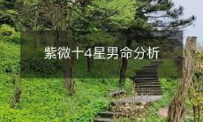紫微十4星男命分析