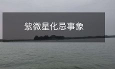 紫微星化忌事象