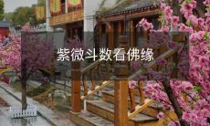 紫微斗数看佛缘