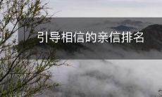 引导相信的亲信排名