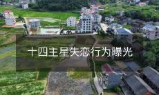 十四主星失恋行为曝光