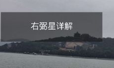 右弼星详解