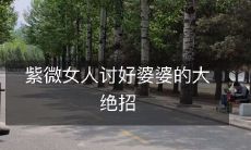 紫微女人讨好婆婆的大绝招