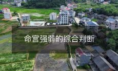 命宫强弱的综合判断