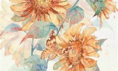 2023年3月19日适合动土吗 今日日子好不好