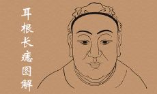 耳根长痣图解命运吉凶