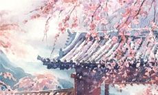 2023年3月27日可以动土吗 是黄道吉日吗