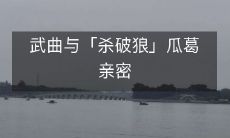 武曲与「杀破狼」瓜葛亲密