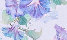 2023年3月24日是动土黄道吉日吗 这天建房合不合适