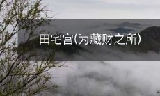 田宅宫(为藏财之所)