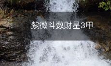 紫微斗数财星3甲