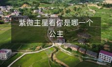 紫微主星看你是哪一个公主