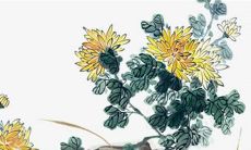 2023年1月22日春节是吉利的装修日子吗 装修房子可以吗