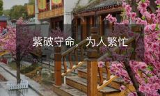 紫破守命，为人繁忙