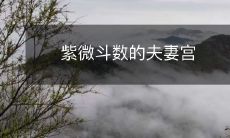 紫微斗数的夫妻宫