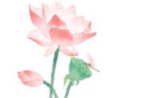 2023年1月23日适合装修吗 装修居室好不好