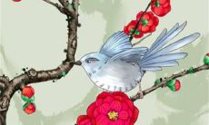 2023年1月21日除夕装修房子可以吗 是装修吉日吗