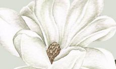 2023年1月14日北小年适合装修吗 装修居室好不好