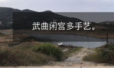 武曲闲宫多手艺。