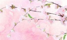 2023年1月20日大寒装修房子好吗 装修吉日是今天吗